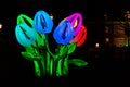 Tulips by night at Amsterdam Light Festival
